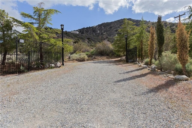1870 Oak Springs Valley Rd, Wrightwood, CA 92397 - photo 25
