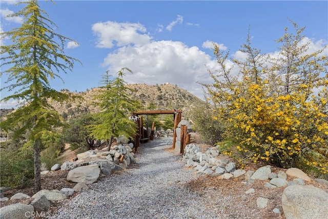 1870 Oak Springs Valley Rd, Wrightwood, CA 92397 - photo 34