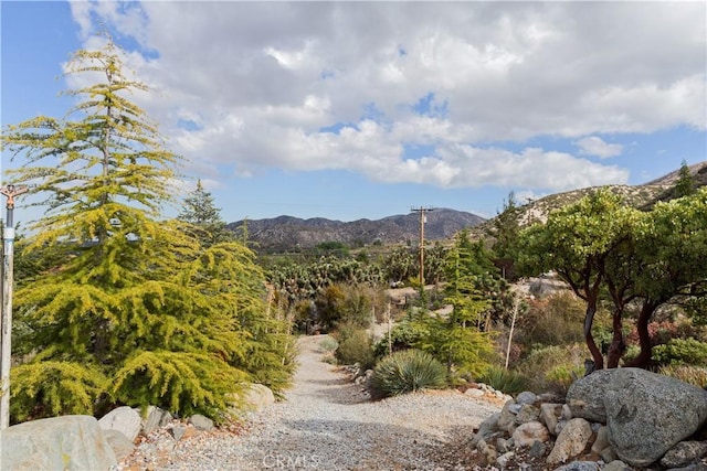 1870 Oak Springs Valley Rd, Wrightwood, CA 92397 - photo 35
