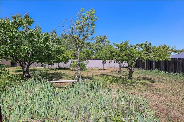 442 R St, Merced, CA 95341 - view of yard