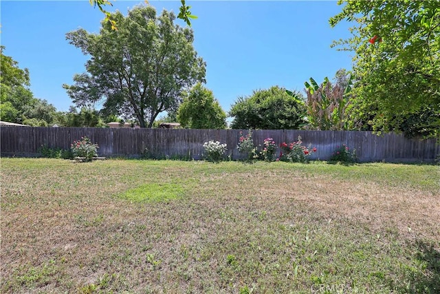 442 R St, Merced, CA 95341 - view of yard