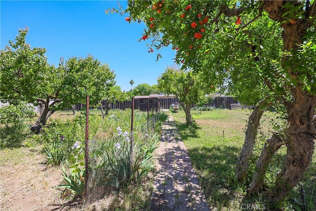 442 R St, Merced, CA 95341 - view of yard