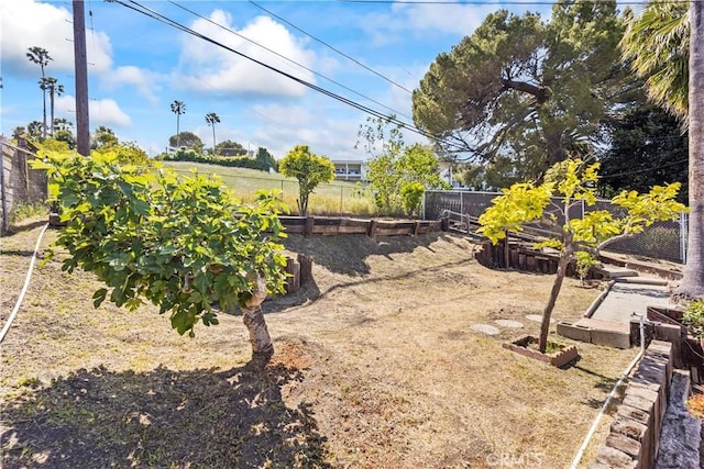 2021 Elanita Dr, San Pedro, CA 90732 - fenced backyard featuring a garden