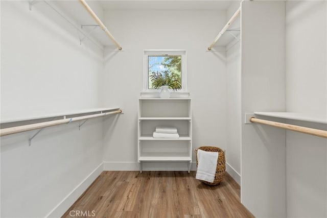 walk in closet with wood finished floors