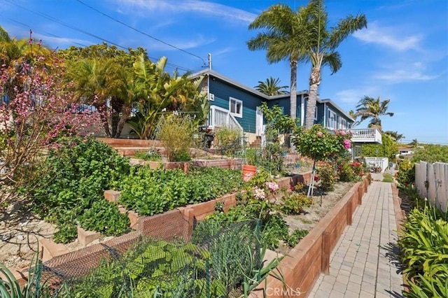 3602 S Walker Ave, San Pedro, CA 90731 - view of yard with fence and a garden