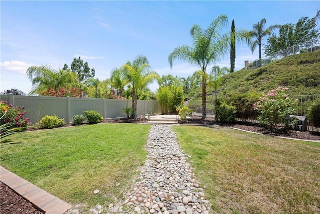 2 Corte Lateuza, Lake Elsinore, CA 92532 - view of yard