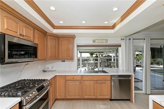 2546 N Orange Hill Ln, Orange, CA 92867 - kitchen with appliances with stainless steel finishes, a sink, light countertops, a tray ceiling, and recessed lighting