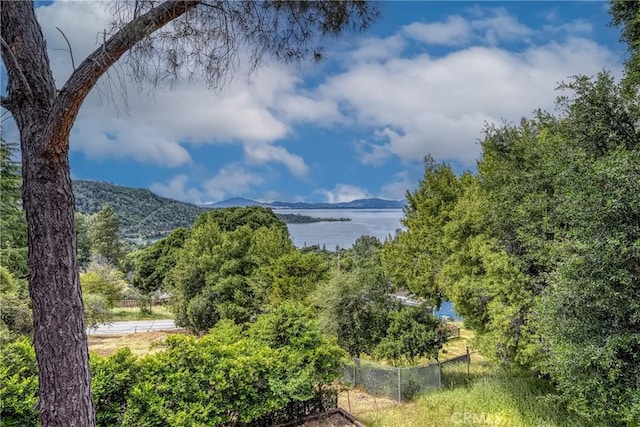 3565 Westridge Cir, Kelseyville, CA 95451 - photo 35