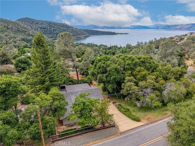 3565 Westridge Cir, Kelseyville, CA 95451 - photo 41