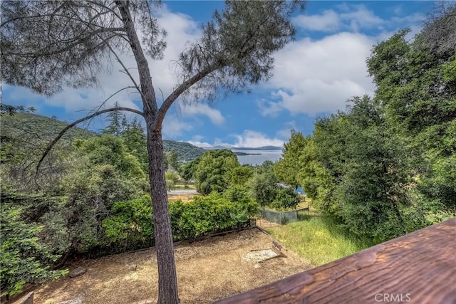 3565 Westridge Cir, Kelseyville, CA 95451 - photo 33