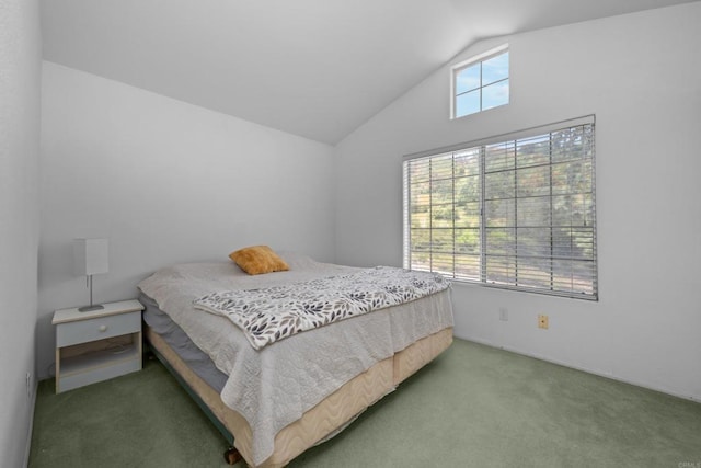 bedroom featuring vaulted ceiling and carpet floors
