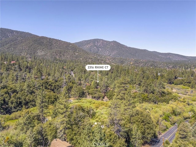 2316 Rhine Ct, Pine Mountain Club, CA 93222 - photo 47