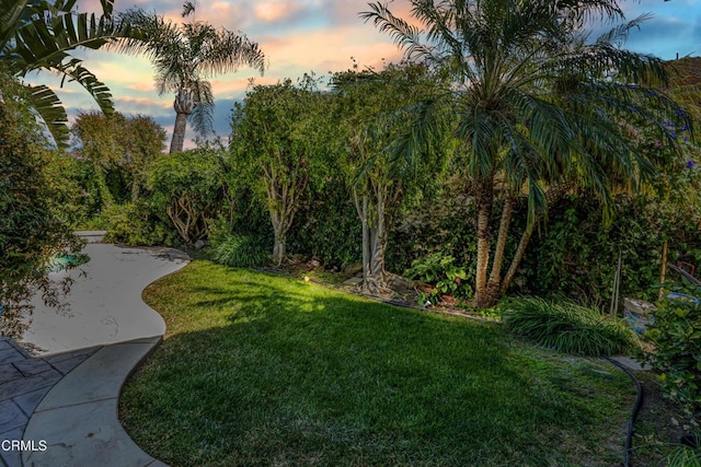 view of green lawn