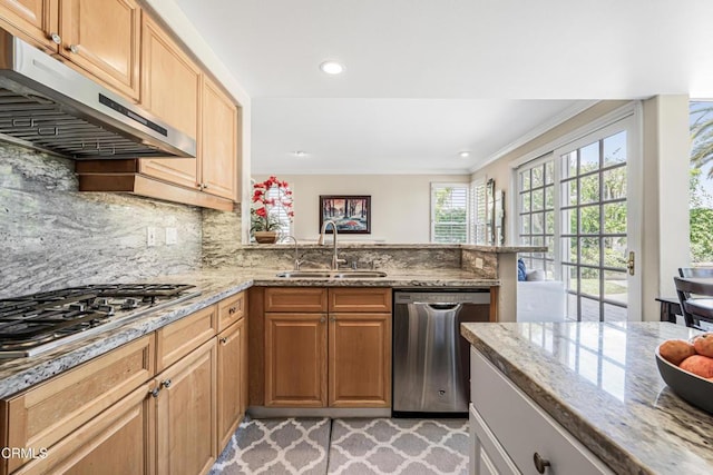 kitchen featuring under cabinet range hood, stainless steel appliances, a sink, ornamental molding, and light stone countertops