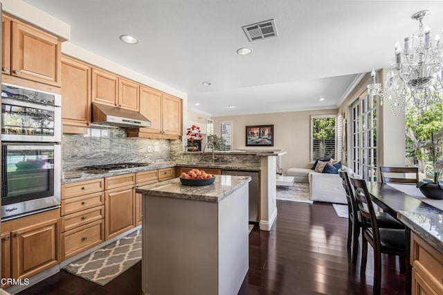 kitchen featuring appliances with stainless steel finishes, under cabinet range hood, a peninsula, open floor plan, and dark wood-style flooring