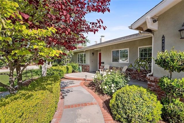 doorway to property featuring stucco siding, a patio, and a chimney