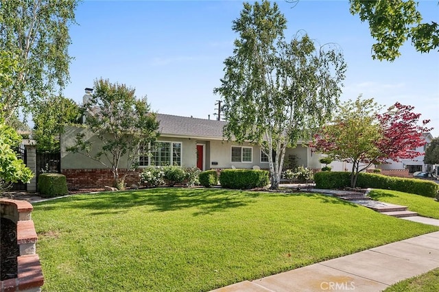 view of front of house featuring a front lawn and stucco siding