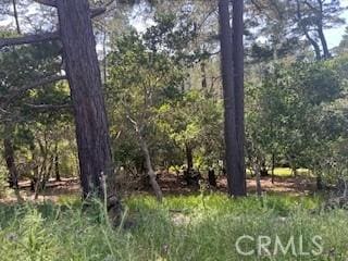0 Bradford Rd, Cambria, CA 93428
