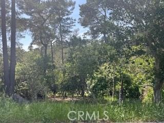 0 Bradford Rd, Cambria, CA 93428