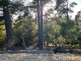 0 Bradford Rd, Cambria, CA 93428 - photo 2