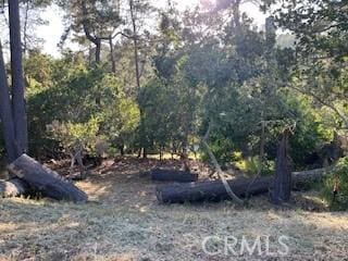 0 Bradford Rd, Cambria, CA 93428 - photo 1
