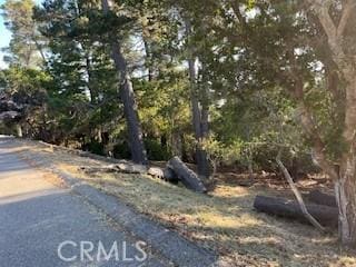 0 Bradford Rd, Cambria, CA 93428 - photo 5
