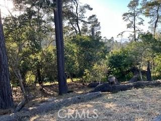 0 Bradford Rd, Cambria, CA 93428 - photo 4