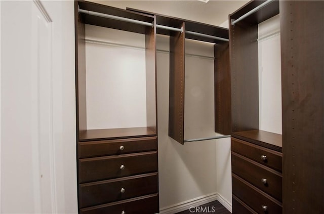 view of walk in closet