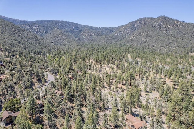 2421 Ironwood Dr, Pine Mountain Club, CA 93222 - photo 36