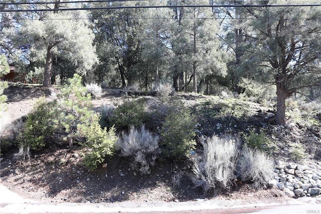 2216 Woodland Dr, Pine Mountain Club, CA 93225