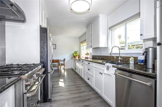 kitchen featuring stainless steel appliances, a sink, white cabinetry, ventilation hood, and wood finished floors