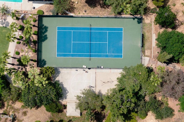 bird's eye view