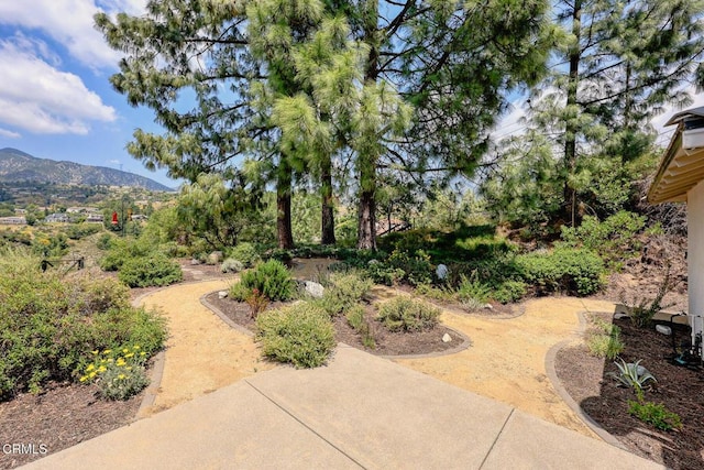 view of yard featuring a mountain view