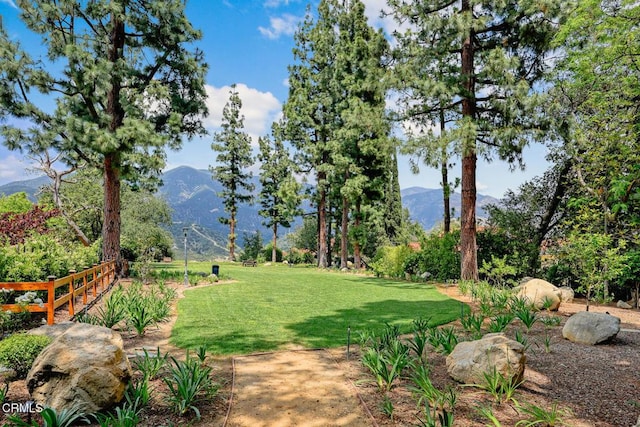 view of grassy yard with a mountain view