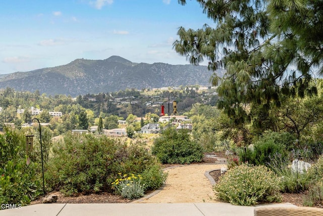 mountain view