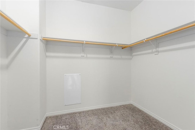 26703 Lexington Ln, Saugus, CA 91350 - walk in closet with carpet floors