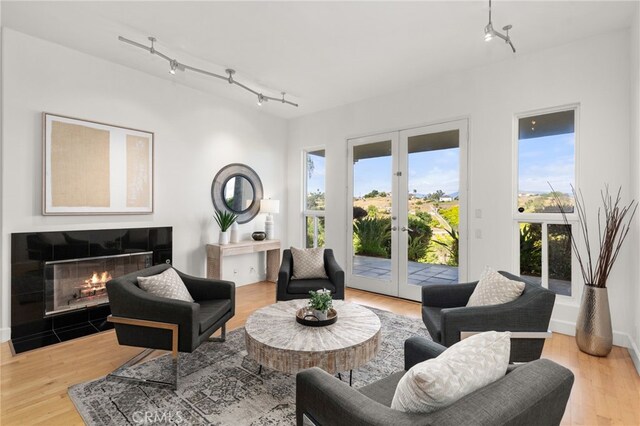 4462 Fallsbrae Rd, Fallbrook, CA 92028 - living area with french doors, track lighting, wood finished floors, and a tiled fireplace