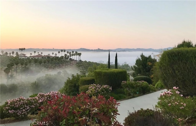4462 Fallsbrae Rd, Fallbrook, CA 92028 - water view