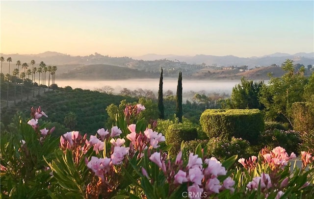 4462 Fallsbrae Rd, Fallbrook, CA 92028 - mountain view