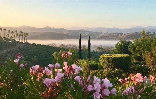 4462 Fallsbrae Rd, Fallbrook, CA 92028 - mountain view