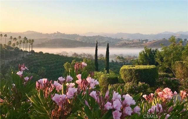 4462 Fallsbrae Rd, Fallbrook, CA 92028 - photo 49