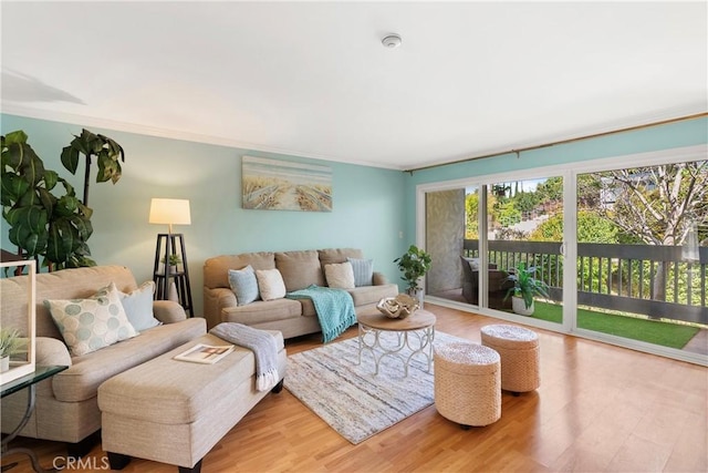 810 Camino Real Unit 104, Redondo Beach, CA 90277 - living room featuring wood finished floors and ornamental molding