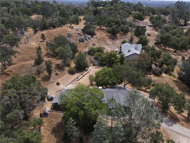 41549 Long Holw, Coarsegold, CA 93614 - photo 4