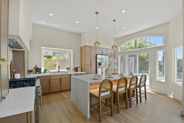 1736 Blackbird Cir, Carlsbad, CA 92011 - kitchen with appliances with stainless steel finishes, a sink, a high ceiling, light wood-type flooring, and custom exhaust hood