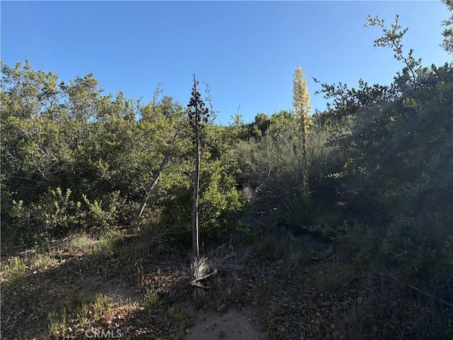 0 Twin Pines Rd, Banning, CA 92220 - photo 1