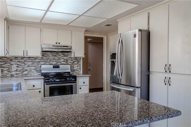 kitchen with appliances with stainless steel finishes, under cabinet range hood, backsplash, a sink, and stone counters