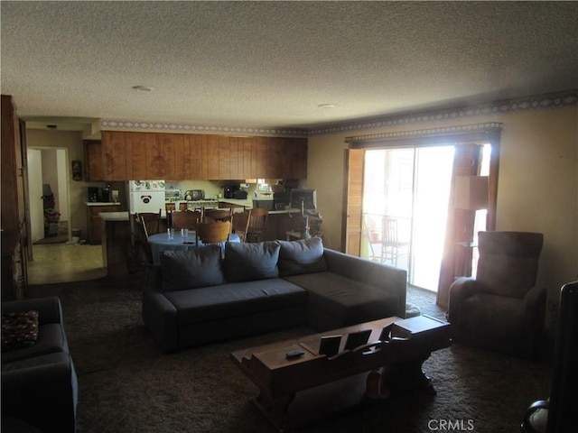 14951 Cactus St, Hesperia, CA 92345 - living room with dark carpet and a textured ceiling