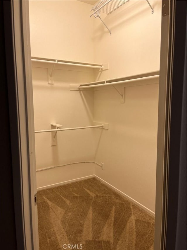 1321 Cypress Point Dr, Banning, CA 92220 - walk in closet with carpet