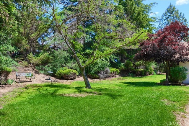 42177 Lone Olive Ln, Ahwahnee, CA 93601 - photo 4