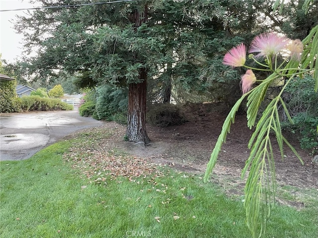 42177 Lone Olive Ln, Ahwahnee, CA 93601 - photo 56